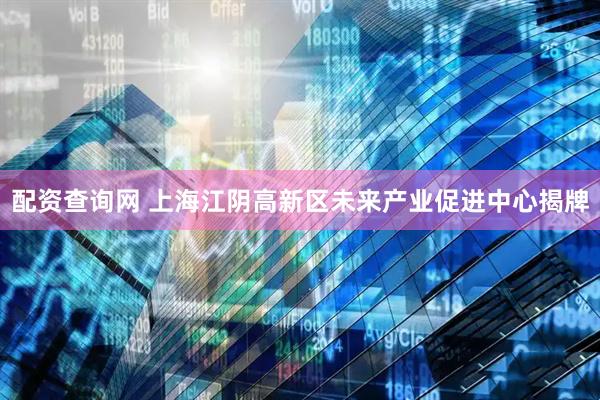 配资查询网 上海江阴高新区未来产业促进中心揭牌