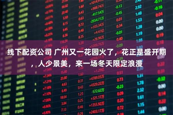 线下配资公司 广州又一花园火了，花正是盛开期，人少景美，来一场冬天限定浪漫